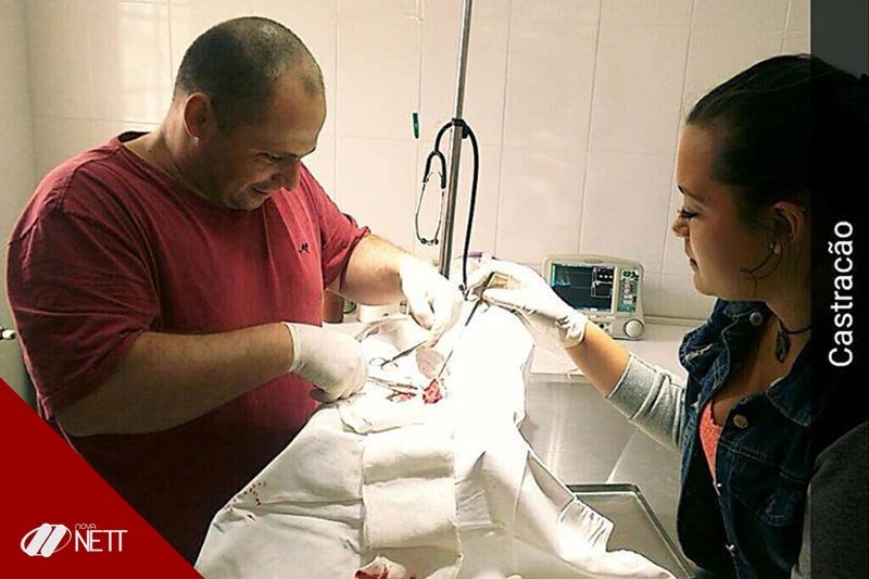 Curso Auxiliar Veterinário Curso Auxiliar Veterinário