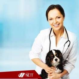Curso Auxiliar Veterinário